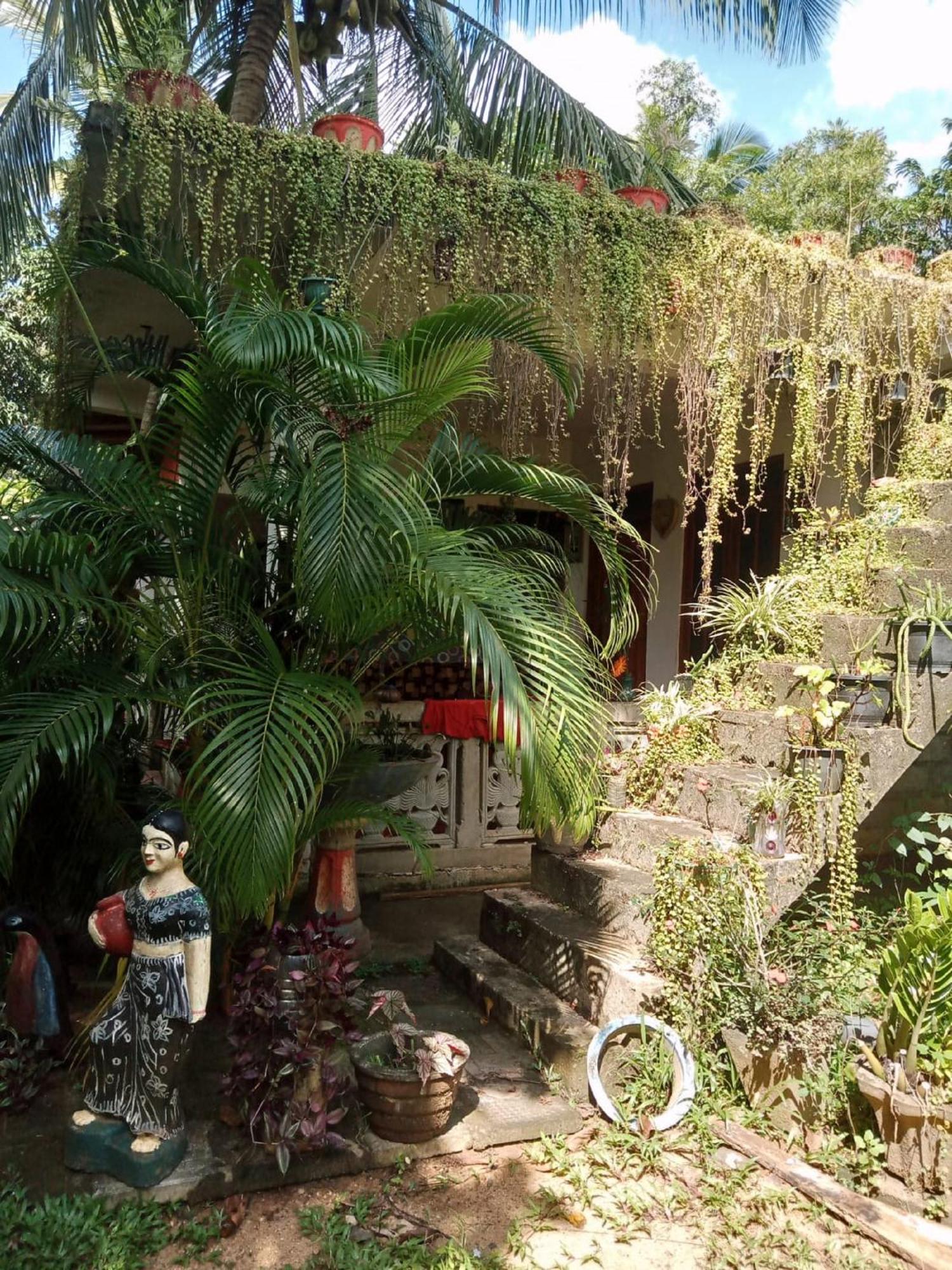 Nelum Home Stay Sigiriya Buitenkant foto